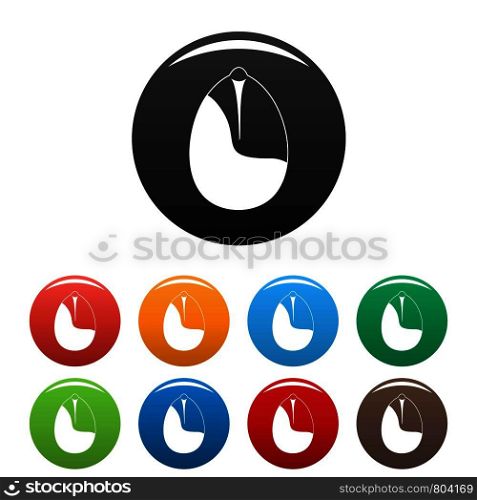 Nut icons set 9 color vector isolated on white for any design. Nut icons set color