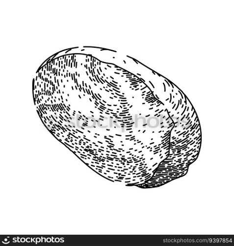 nut nutmeg spice hand drawn. seasoning spicy, aromatic condiment, powder brown nut nutmeg spice vector sketch. isolated black illustration. nut nutmeg spice sketch hand drawn vector
