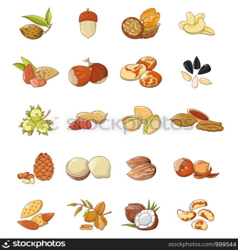 Nut types food icons set. Cartoon illustration of 20 nut types food vector icons for web. Nut types food icons set, cartoon style