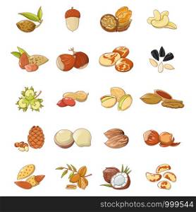 Nut types food icons set. Cartoon illustration of 20 nut types food vector icons for web. Nut types food icons set, cartoon style