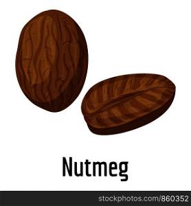 Nutmeg icon. Cartoon of nutmeg vector icon for web design isolated on white background. Nutmeg icon, cartoon style