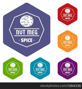 Nutmeg icons vector colorful hexahedron set collection isolated on white . Nutmeg icons vector hexahedron