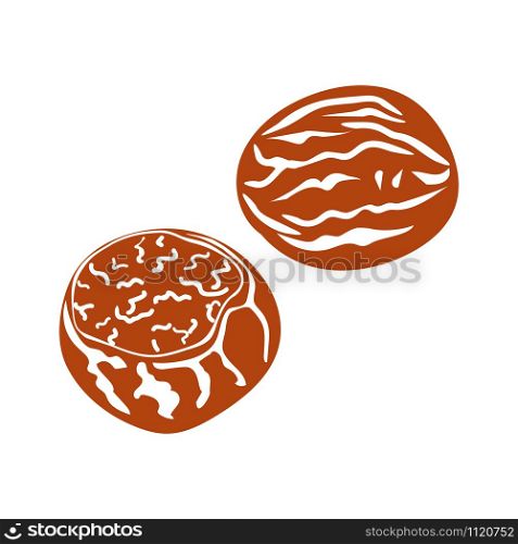 Nutmeg nut seed vector. Isolated on white background. flat Vector illustration for web logo Organic Food, cosmetics, treatment component. Nutmeg nut seed vector. Isolated on white background. Nutmeg butteromponent