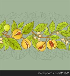 nutmeg vector pattern. nutmeg branches vector pattern on color background