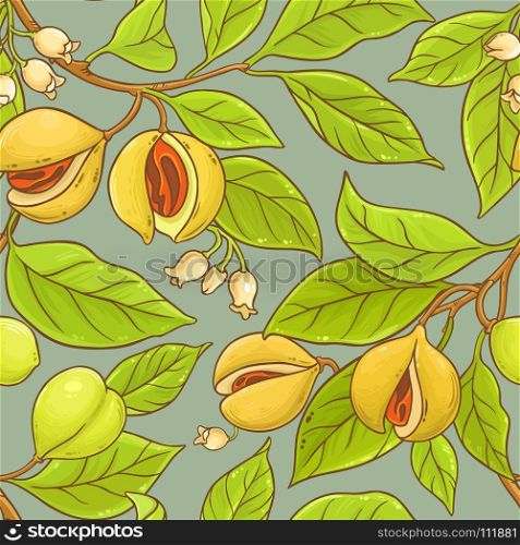 nutmeg vector pattern. nutmeg branches vector pattern on color background