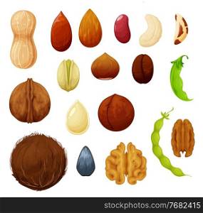 Nuts and beans natural food seeds vector icons of cashew and almond, peanut and pistachio. Vegetarian raw organic food coconut, hazelnut and walnut, coffee beans and kidney, legume or green peas pods. Nuts and beans icons, food natural organic seeds