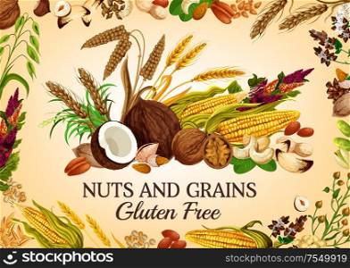 Nuts and cereal grains, natural organic gluten free food nutrition. Vector healthy vegan raw superfood corn, oatmeal, wheat and rye or buckwheat grain, coconut, hazelnut or walnut and almond. Organic nuts, healthy super food cereal grains