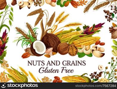Nuts and grains gluten free natural food. Vector cereal, corn and kernels, seed snacks. Pistachio and peanut, cashew and rice, millet and rye. Almonds and buckwheat flowers, ears of wheat. Kernels and seeds, cereal food, nuts and grains