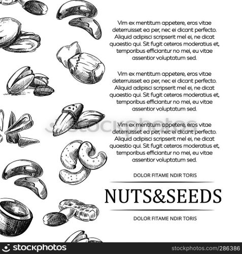 Nuts and seeds banner or poster. Cover with hand sketched nut and seed set. Banner or poster with hand sketched nuts and seeds