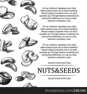 Nuts and seeds banner or poster. Cover with hand sketched nut and seed set. Banner or poster with hand sketched nuts and seeds