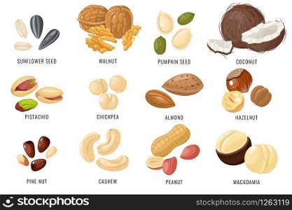 Nuts and seeds. Cashew and hazelnut, almond and coconut, walnut and peanut, pistachio. Chickpea, macadamia and sunflower, pumpkin seed vector snacking set. Nuts and seeds. Cashew and hazelnut, almond and coconut, walnut and peanut, pistachio. Chickpea, macadamia and sunflower, pumpkin seed vector set