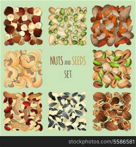Nuts and seeds mix decorative elements set vector illustration