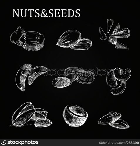 Nuts and seeds sketch on chalkboard. Vector nutshell sketch illustration. Nuts and seeds sketch on chalkboard