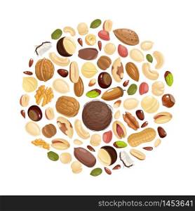 Nuts background. Various nuts in circle form. Peanut, hazelnut and pistachio, cashew and pecan, walnut. Brazil nut and almond vector food concept. Nuts background. Various nuts in circle form. Peanut, hazelnut and pistachio, cashew and pecan, walnut. Brazil nut and almond vector concept