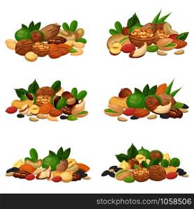 Nuts bunch. Fruit kernels, dried almond nut and cooking seeds. Cellulose food macadamia, walnut and grain nuts. Agriculture diet seeding mix cartoon isolated vector icons set. Nuts bunch. Fruit kernels, dried almond nut and cooking seeds isolated vector set