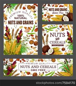 Nuts, cereal grains and beans vector health food. Almond, peanut and pistachio, hazelnut, walnut and wheat, cashew, corn and coconut, soybean, buckwheat and oatmeal grains. Almond, pistachio nuts, soy beans and cereal grain