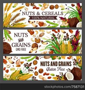 Nuts, cereals and grains of vector almond, pistachio and walnut, peanut, beans and hazelnut, wheat, corn and coconut, cashew, pecan and brazil nuts, buckwheat and rice, health food banners design. Peanut, walnut, almond, wheat, rice and coconut