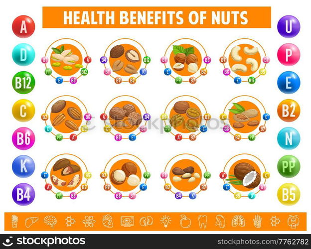 Nuts, chart table content of vitamins and minerals. Vector dietary info