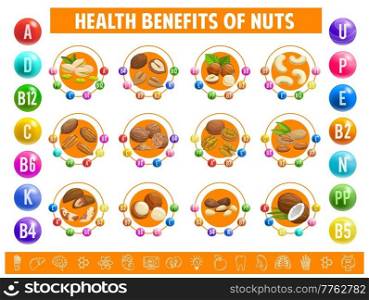 Nuts, chart table content of vitamins and minerals. Vector dietary info with cashew, hazelnut, coconut and pistachio, pecan, cocoa or hazelnut with macadamia, pine nut, almond and walnut seeds. Nuts chart table content of vitamins and minerals