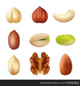 Nuts collection. Nature food dried cashew healthy peanut crumbs vector agriculture picture. Illustration of healthy nuts cashew and peanut, hazelnut and almond. Nuts collection. Nature food dried cashew healthy peanut crumbs vector agriculture picture