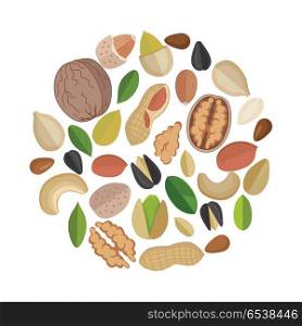 Nuts Composed in Circle Shape.. Various nuts composed in circle shape. Nuts collection. Mixed nuts and seeds. Pumkin seeds, almond, walnut, sunflower seed, flax seed, peanut, cashew. Isolated vector illustration on white background.