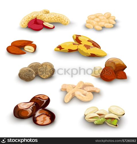 Nuts decorative icons set with peanut almond chestnut pistachio isolated vector illustration