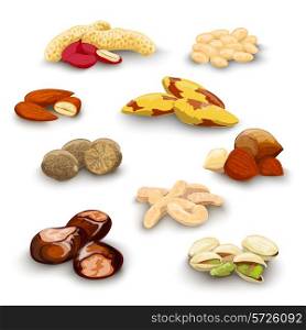 Nuts decorative icons set with peanut almond chestnut pistachio isolated vector illustration