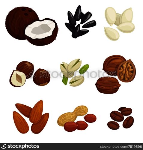 Nuts, grain and kernels. Vector icons of coconut, almond, pistachio, sunflower seeds, pumpkin seeds, peanut, hazelnut walnut coffee beans. Nuts, grain and kernels vector icons