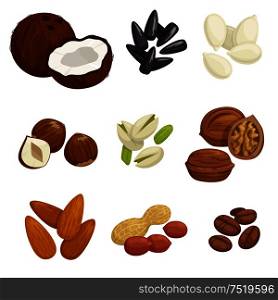 Nuts, grain and kernels. Vector icons of coconut, almond, pistachio, sunflower seeds, pumpkin seeds, peanut, hazelnut walnut coffee beans. Nuts, grain and kernels vector icons