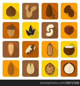 Nuts icons set with walnut hazelnut pistachio isolated vector illustration