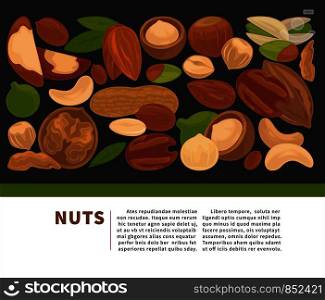 Nuts organic nutrition and raw diet information poster design template. Vector flat mix of hazelnut, cashew or almond and peanut, walnut or chestnut and pistachio for vegetarian nut nutrition. Nuts organic nutrition and raw diet information poster design template.