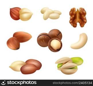 Nuts realistic. Healthy closeup natural products cocoa peanut coffee beans almonds aroma grain decent vector snack foods collection set. Illustration of nutrition raw almond and kernel. Nuts realistic. Healthy closeup natural products cocoa peanut coffee beans almonds aroma grain decent vector snack foods collection set