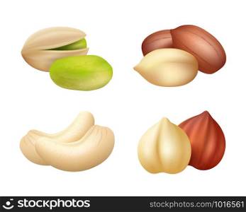 Nuts realistic. Mixed seeds dry food dried cashew vector pictures of nuts. Cashew and hazelnut, pistachio and almond, nutshell illustration. Nuts realistic. Mixed seeds dry food dried cashew vector pictures of nuts
