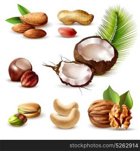 Nuts Realistic Set. Nuts realistic set with hazelnut, peanut, cashew, walnut, pistachio, coconut, almond and green leaves isolated vector illustration