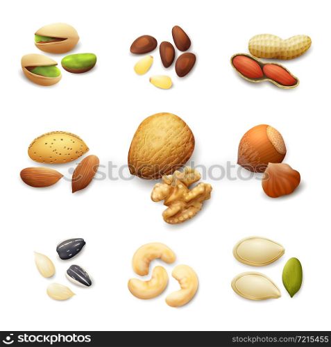 Nuts realistic set with pistachio almond walnut hazelnut isolated vector illustration. Nuts Realistic Set