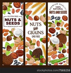 Nuts, seeds and cereal grains natural food. Vector healthy pistachios, kernels and peanuts, hazelnuts and sunflower seeds. Ears of wheat cereals, almonds and cashew. Kernels and nuts, cereal grains, seeds