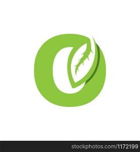 O Letter logo leaf concept template design