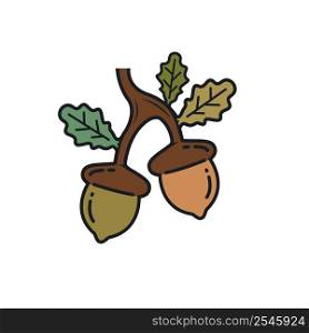 oak acorn element vector illustration concept design template