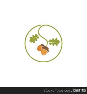 oak acorn vector illustration design template