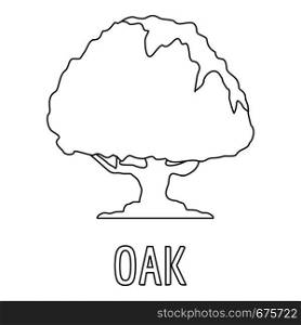 Oak icon. Outline illustration of oak vector icon for web. Oak icon, outline style.