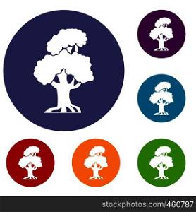 Oak icons set in flat circle reb, blue and green color for web. Oak icons set