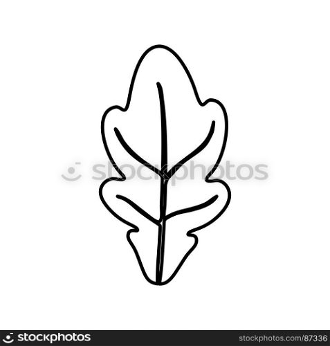 Oak leaf icon .