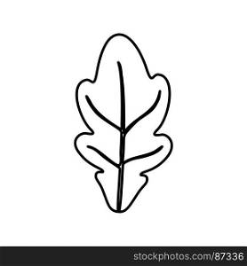Oak leaf icon .