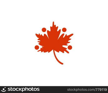 oak leaf icon vector design template