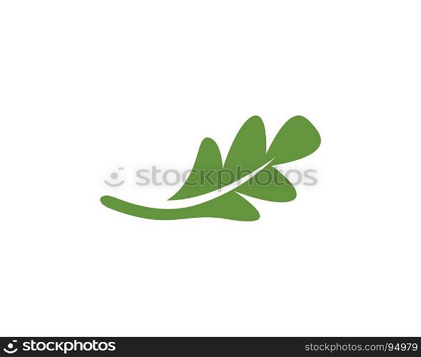 oak leaf icon vector. oak leaf icon vector design template