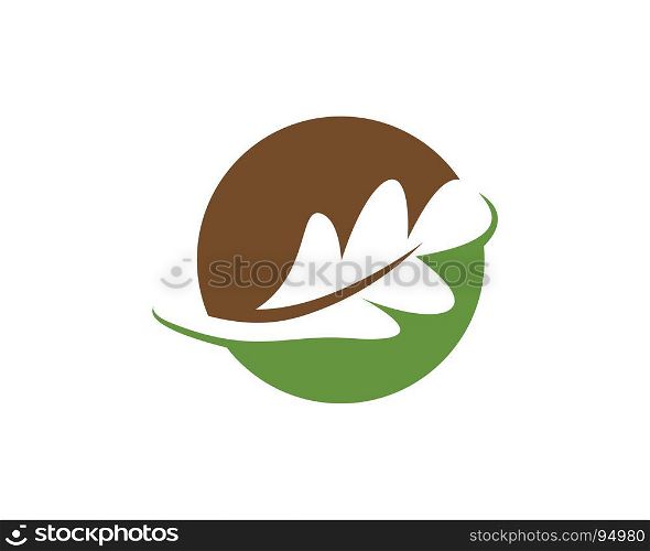 oak leaf icon vector. oak leaf icon vector design template