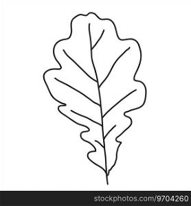 Oak leaf in doodle style Royalty Free Vector Image