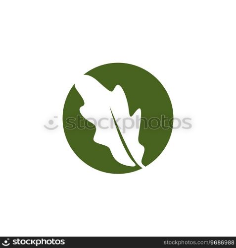 Oak Leaf Logo Design, Simple Green Plant Vector, Template Illustration