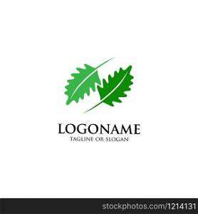 Oak leaf logo design vector