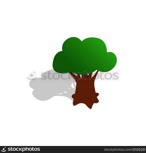 Oak tree icon in isometric 3d style isolated with shadow on white background. Oak tree icon, isometric 3d style